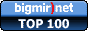 bigmir TOP100