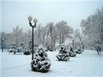 normal_116111564